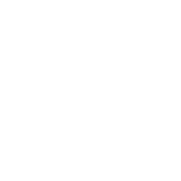 Mission icon
